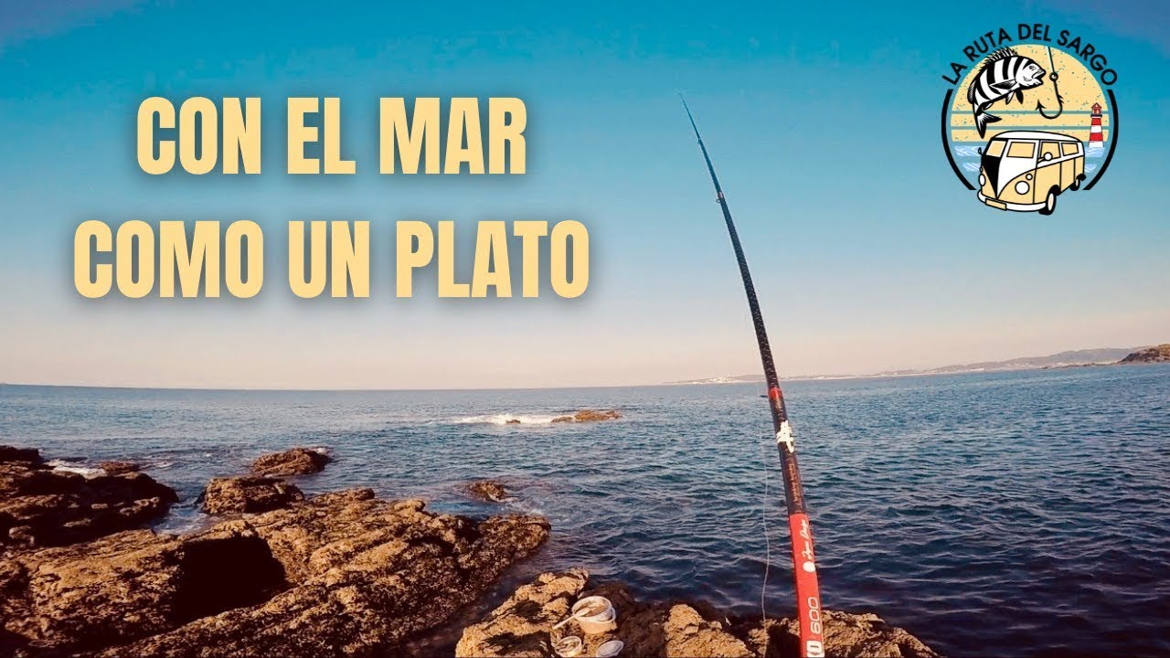 Pesca F&Aacute;CIL de SARGOS al Lado de la Carretera en Sanxenxo y Portonovo