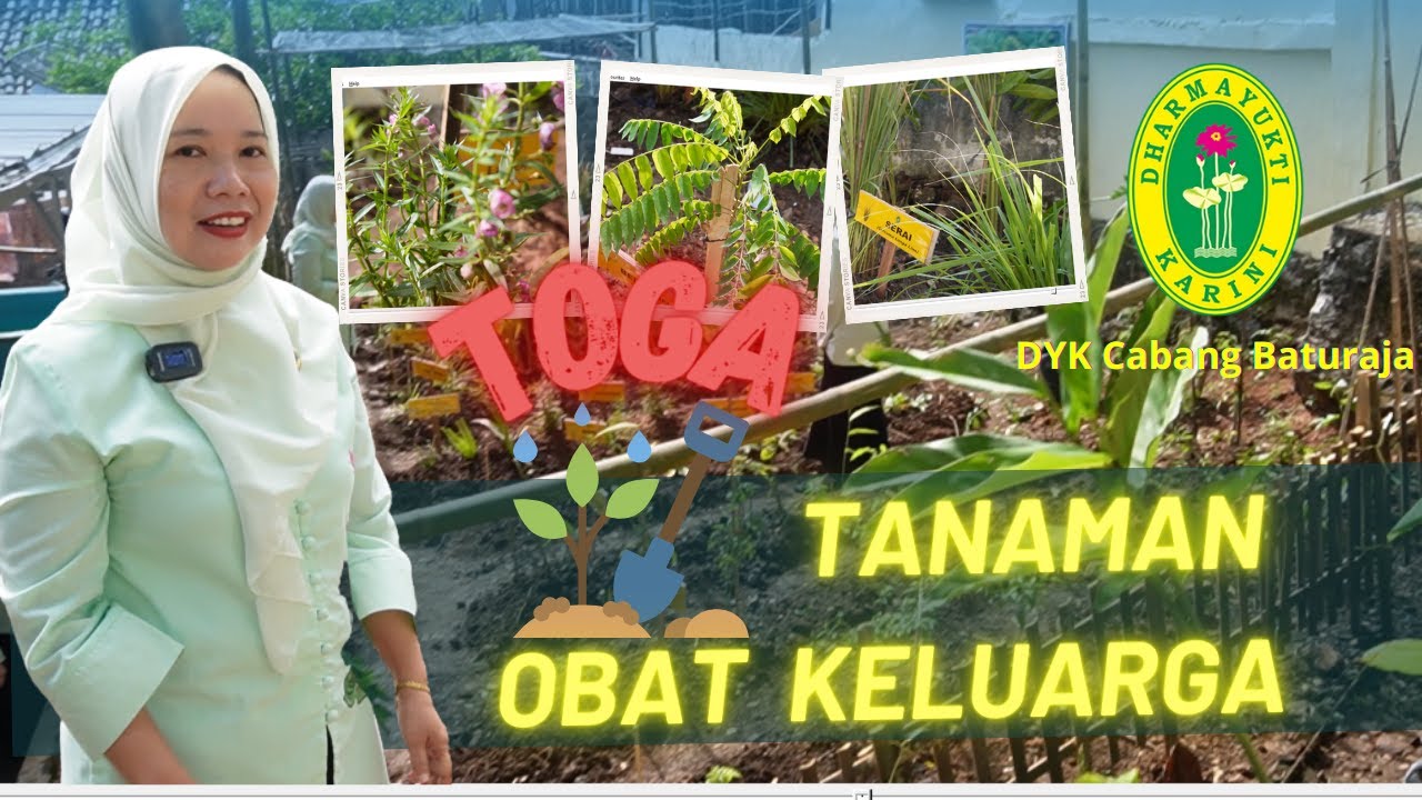 Budidaya Tanaman Obat Keluarga - TOGA (Dharmayukti Karini Cabang Baturaja)