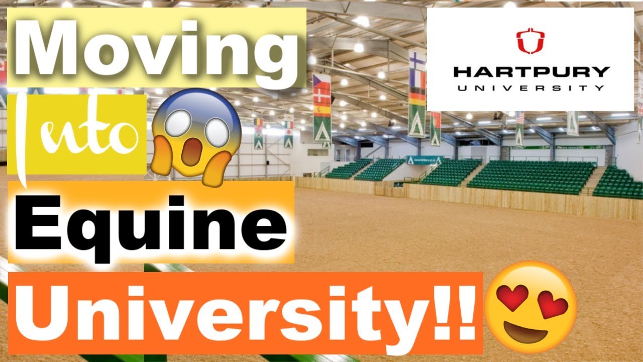 Moving into Hartpury Equine University | UNI VLOG 1| Ride Every Stride