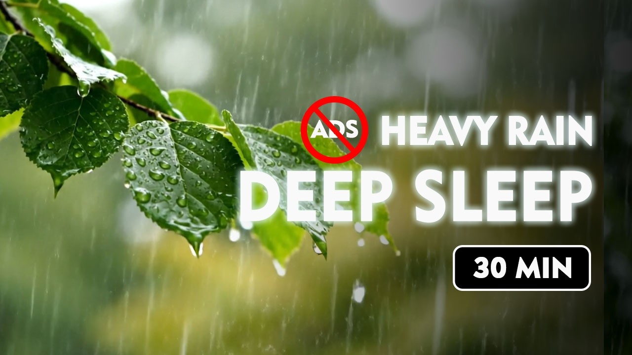 Heavy Rain Sounds for Sleeping - ASMR Rain For Sleeping - Deep Sleep with Relaxing Rain Sounds