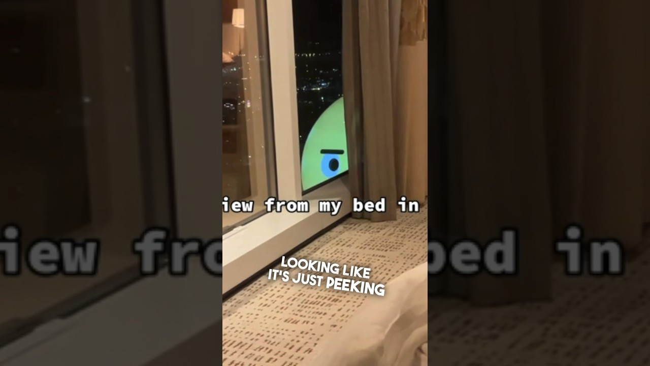 Вид из его номера в отеле просто уморительный 😂