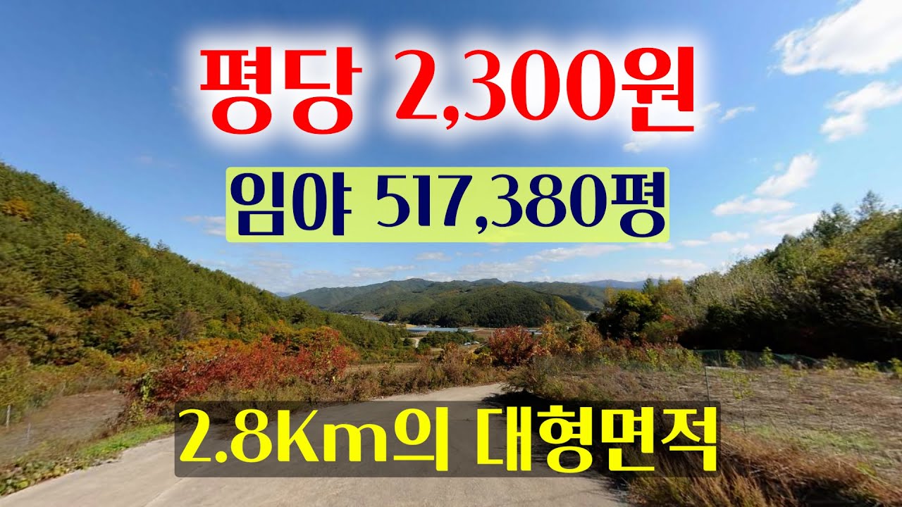 [1506] 평당 2,300원에 내 놓은 대형 임야매매, 약 517,230평에 약 2.8Km로 정도 분포가 되어 있는 대형 임야 입니다.