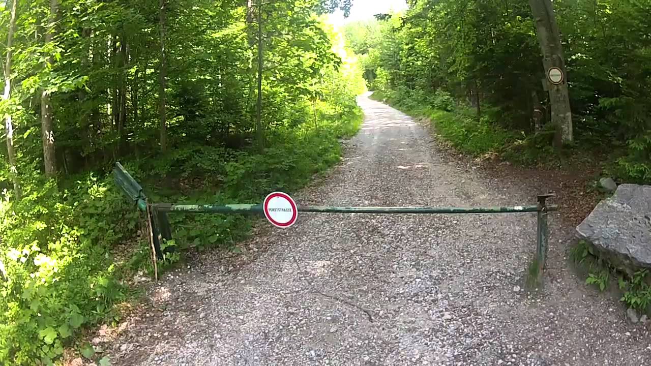 Bertah&uuml;tte Downhill - Kopfkamera Stany