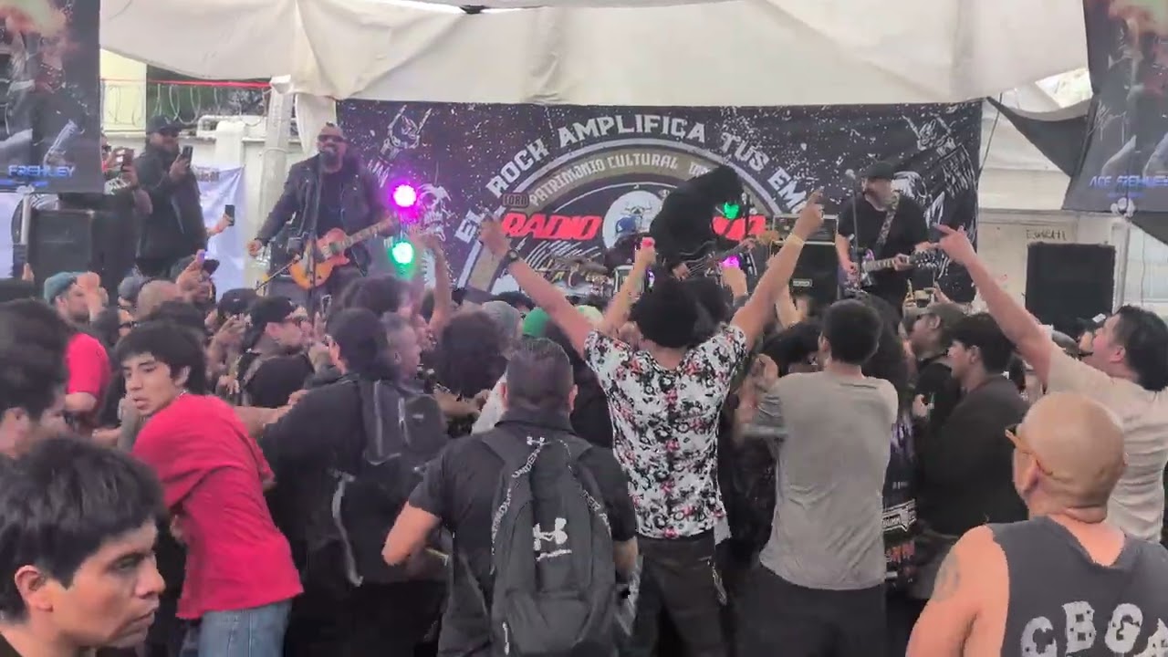 Union 13 - raíces radicales, tianguis del chopo México CDMX 2025
