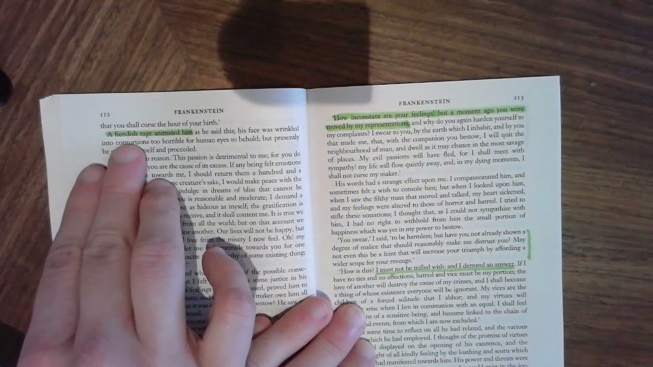 Frankenstein - Chapter 17 - 20