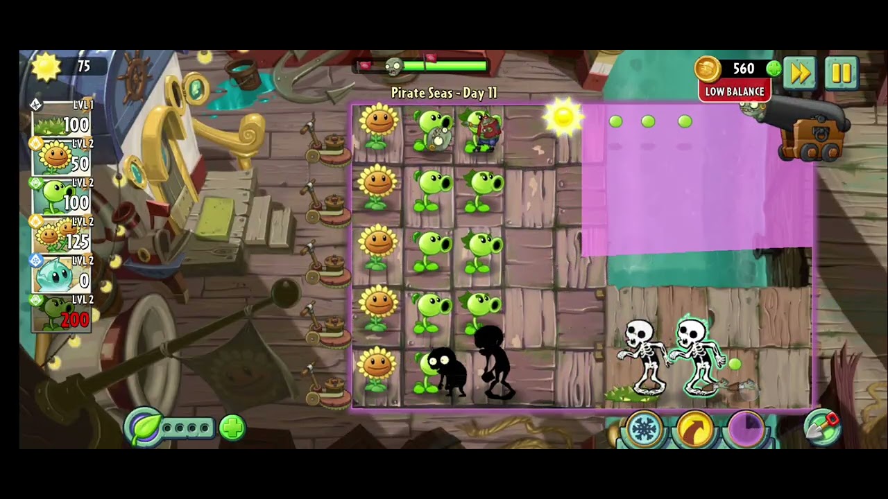 Pvz  rizuan