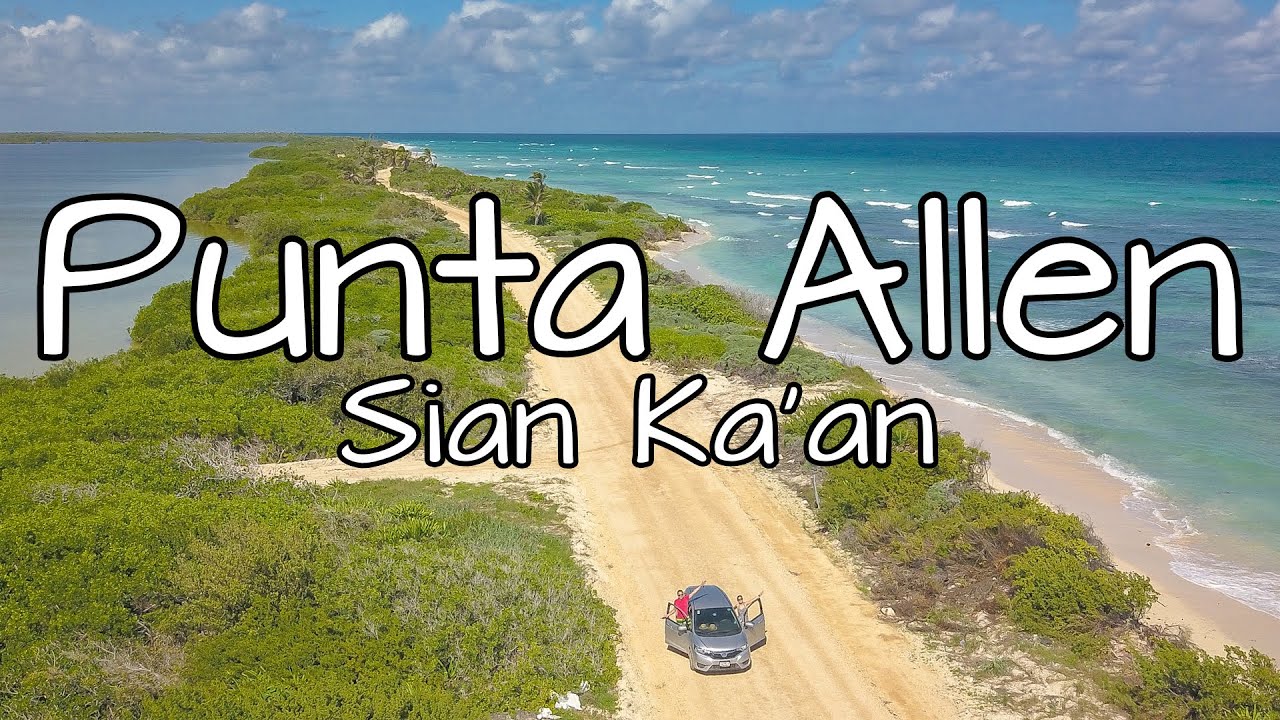 Punta Allen en Sian Ka an! ✅ ¿Cuánto cuesta? ¿Cómo llegar? 🐬🐢🐊 Lancha para ver delfines #rivieramaya