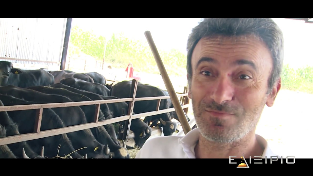 ELIXIRIO ΤV Greece ΕΛΙΧΙΡΙΟ ΤV - KERKINI FARM (PAPADOPOYLOS) ΒΟΥΒΑΛΙΣΙΟ ΚΡΕΑΣ (1080p Corporate )