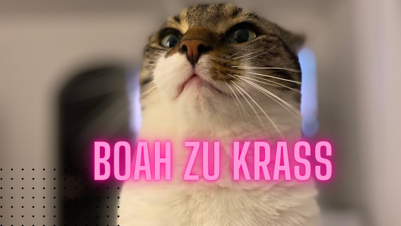 Meine Geburtstagsgeschenke von euch ♥️🥺 einfach nur sprachlos 😲