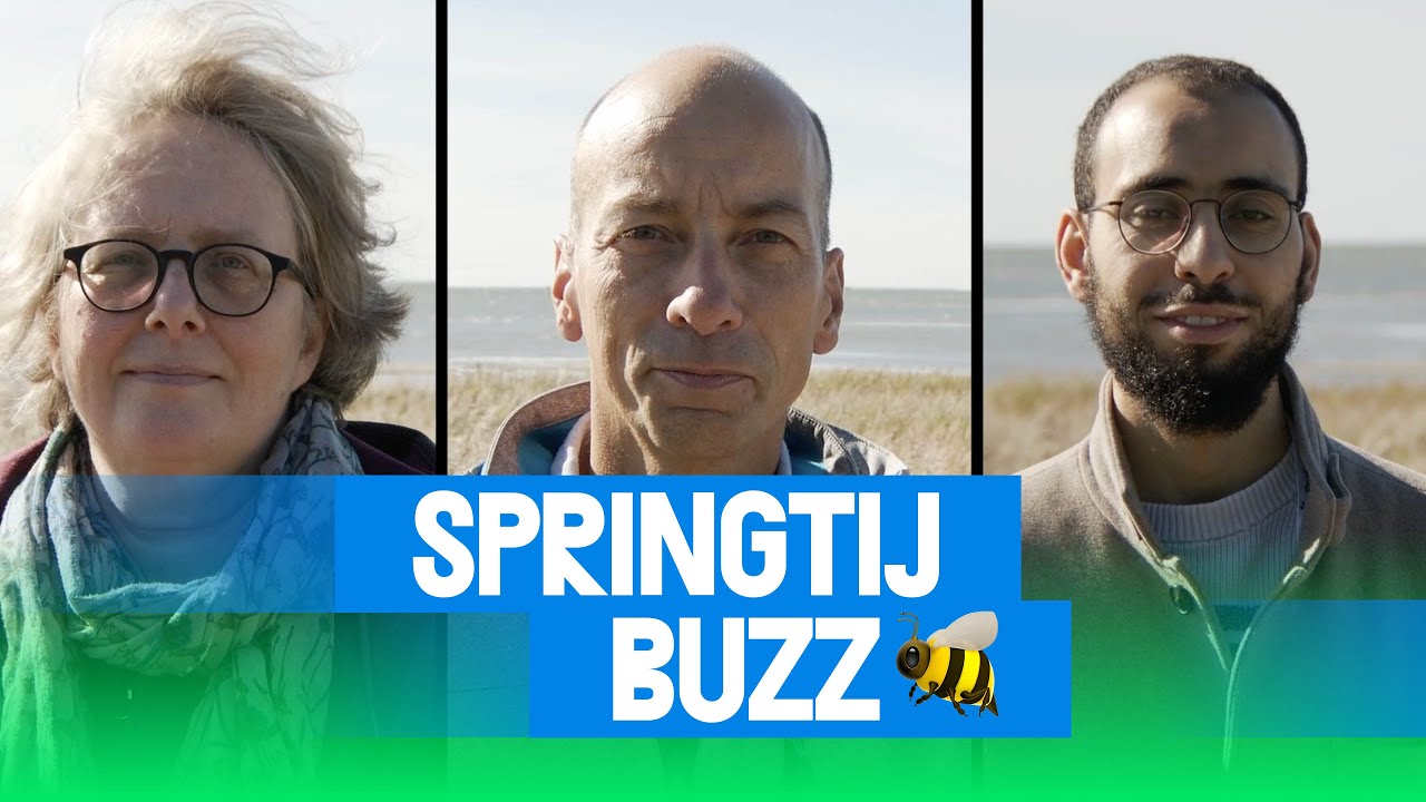 Springtij BUZZ - 3 dagen Springtij