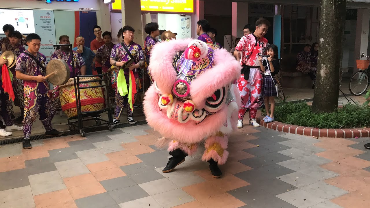 新加坡竹云宫武术体育会, Singapore Zhu Yun Gong Lion Dance Cai Qing Performance on the 5/11/23