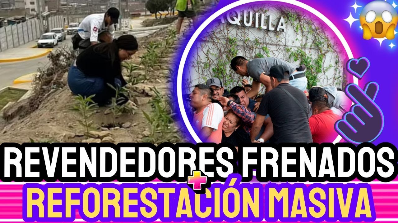 ARMY BTS: El fandom más poderoso, presidentes, revendedores y reforestación