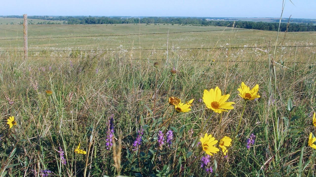 Reversing ag-driven ecosystem disservices — belowground recovery during grassland restoration