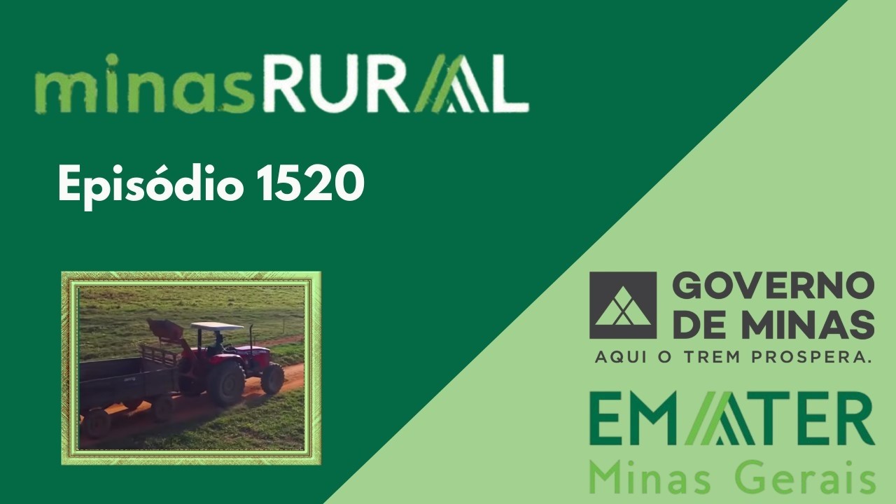 MINAS RURAL 1520 - 06/03/26