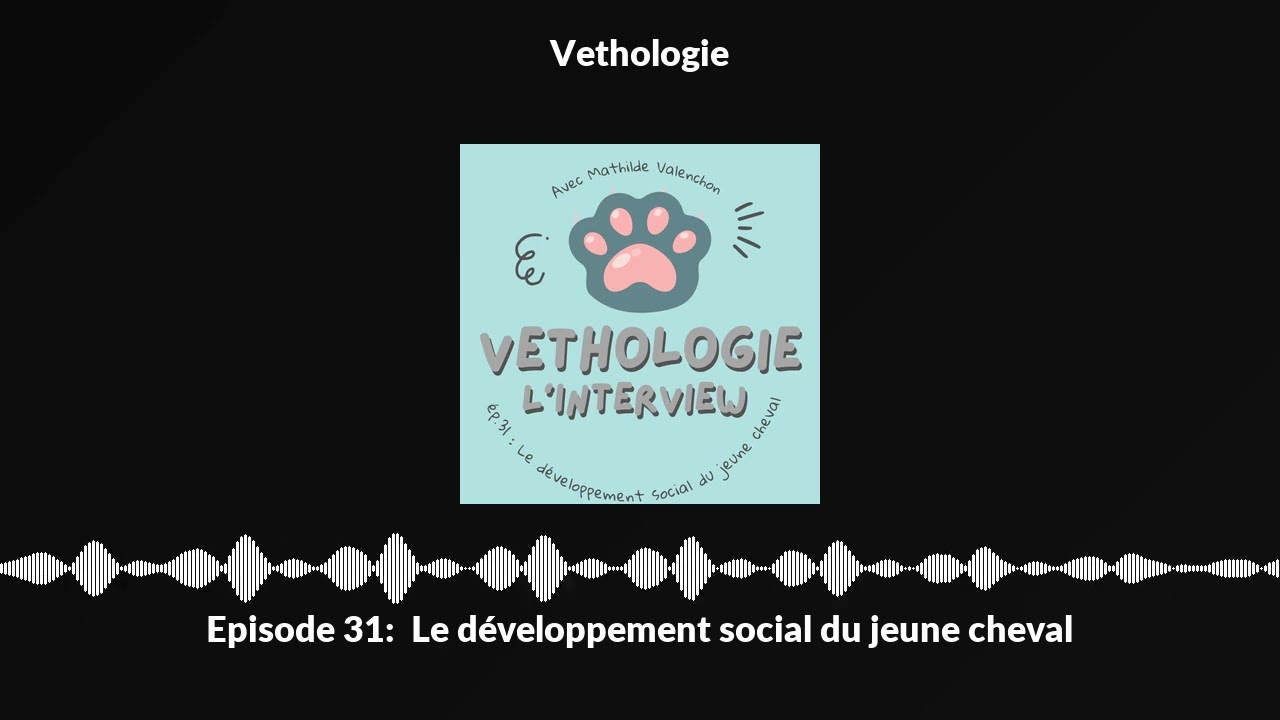 Episode 31: Le développement social du jeune cheval