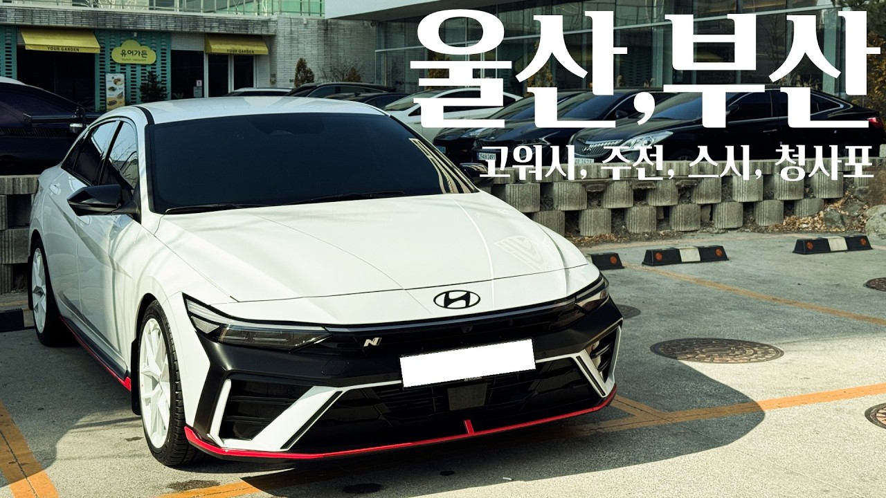 [4K]울산 고워시 방문, 오랜만에 출연해주신 