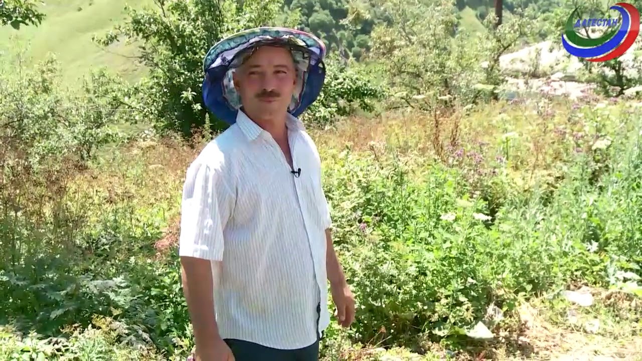 «Аьрщи ва агьлу»