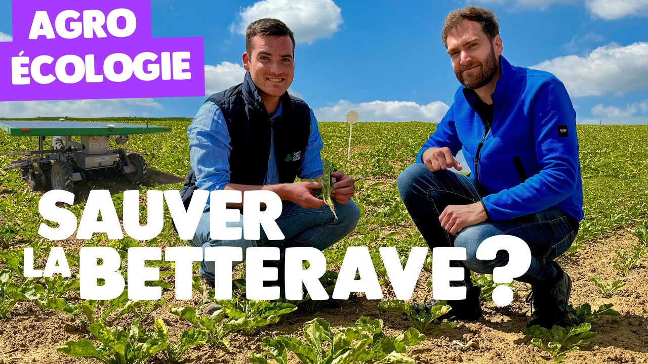 Expérience agroécologique innovante en Normandie