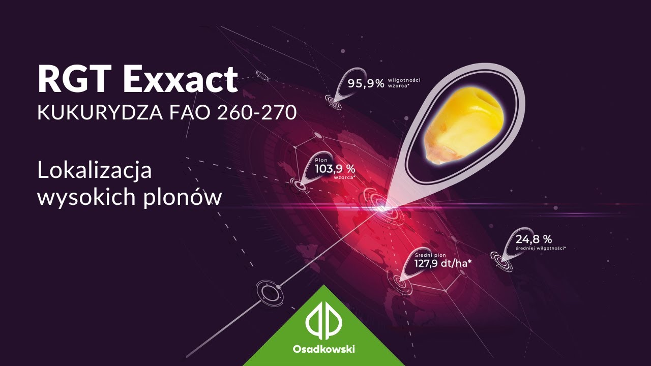 Kukurydza 🌽 𝗥𝗚𝗧 𝗘𝘅𝘅𝗮𝗰𝘁 - Lokalizacja wysokich plon&oacute;w