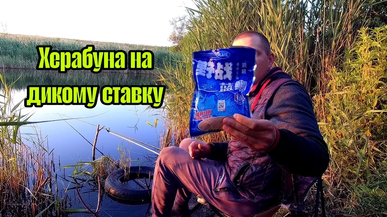 Карась шаленіє! 😱 Херабуна на дикому ставку — що це було? Рибалка 2025