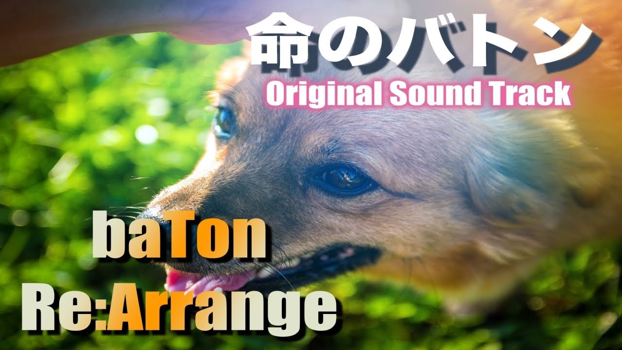 baTon Re:arrange【命のバトン】original sound track