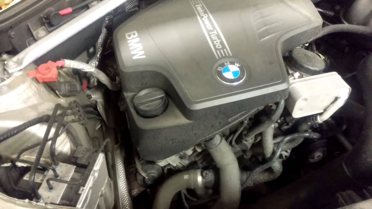 N20 timing chain noise