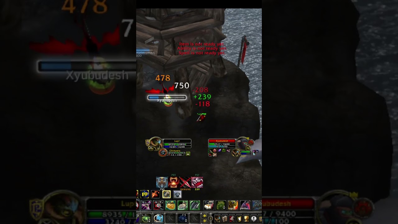 This twink destroys lvlers BM Hunter 70lvl  WOTLK  