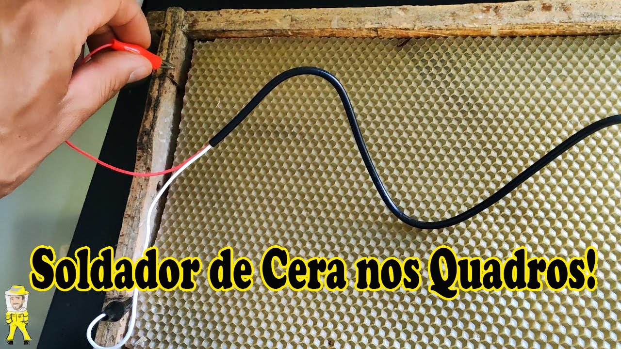 SOLDADOR ELÉTRICO DE CERA ALVEOLADA NOS QUADROS DE APIS | CRIANDO ABELHAS!