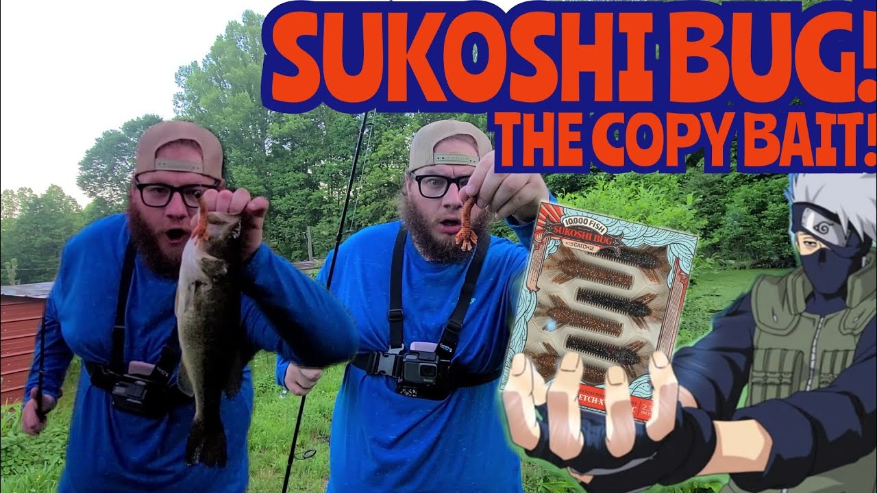 Sukoshi Bug! The Copy Bait! (Are 10,000 Fish Sukoshi Bugs Just as Good as Z-Man?)