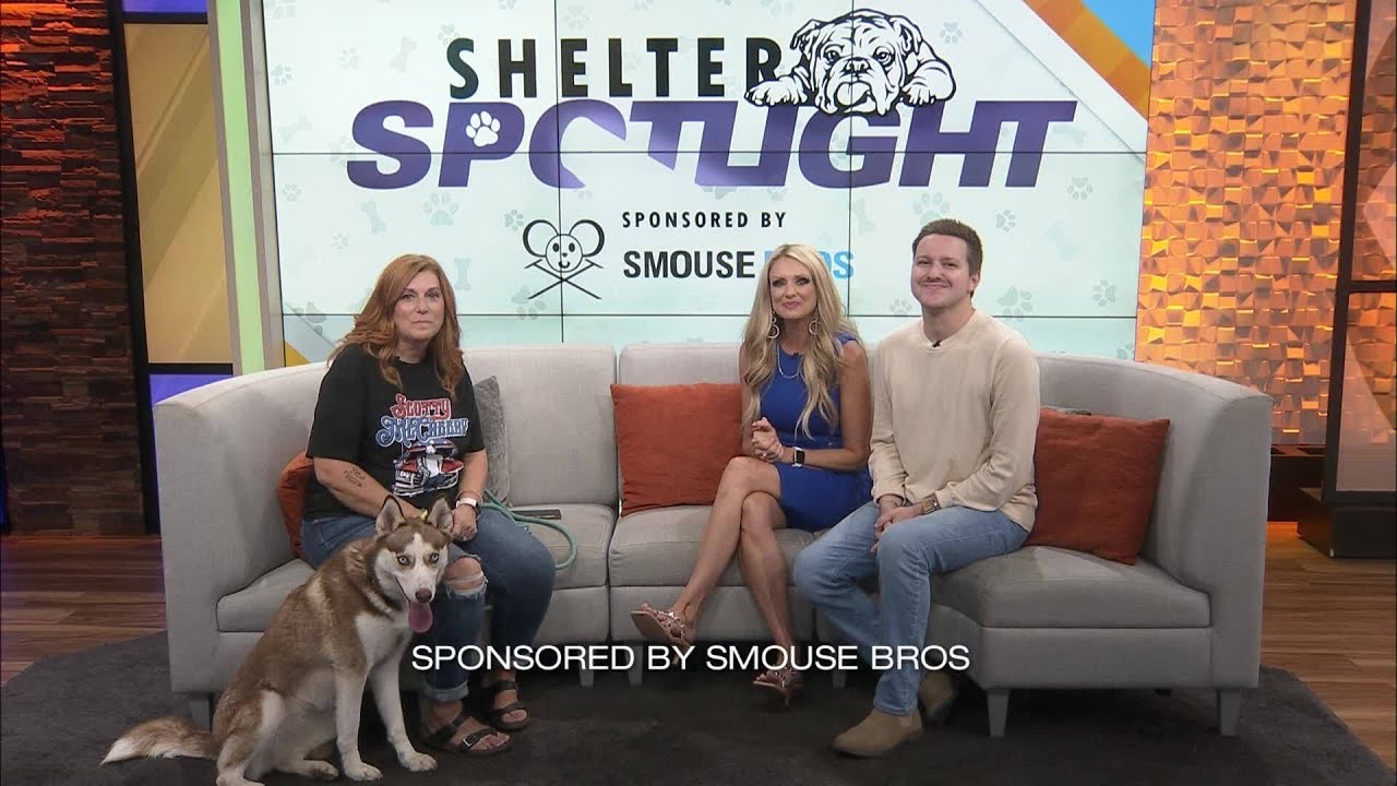 Shelter Spotlight: India