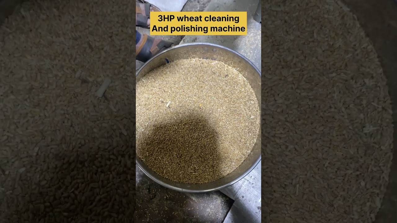 3HP wheat cleaning and polishing machine.contact no+91 89628 26650