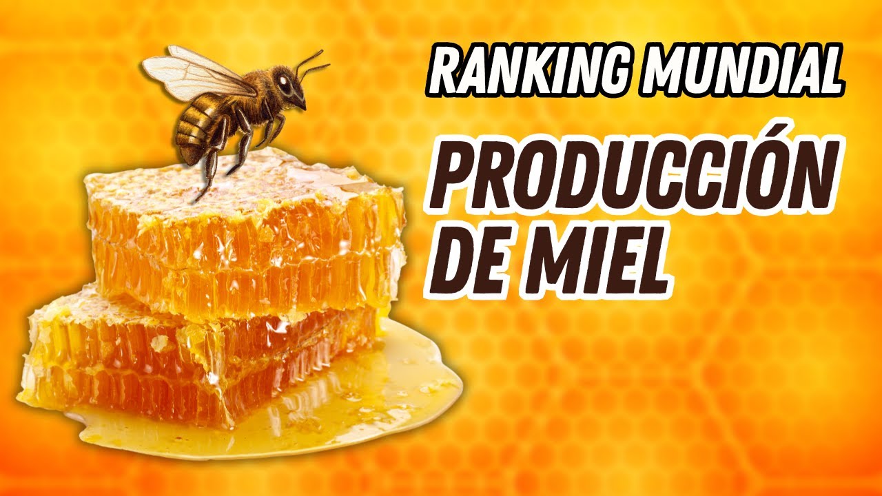 Estos son los pa&iacute;ses que m&aacute;s producen miel de abeja 🍯🐝