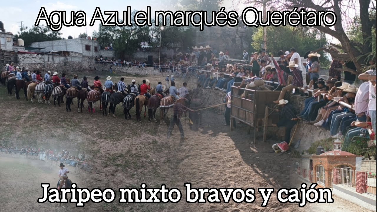 Por primera vez jaripeo mixto toros bravos y toros de reparo Agua Azul el marqués Querétaro