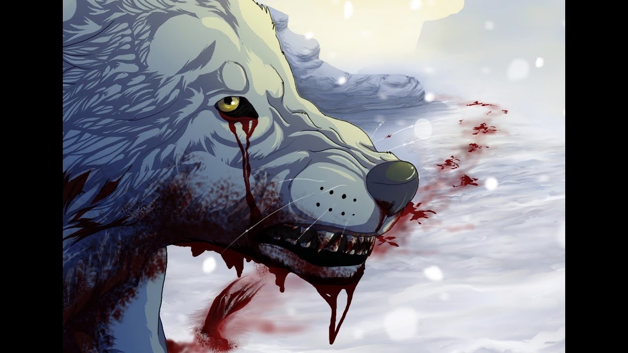 Speedpaint: Kiba Wolfs Rain