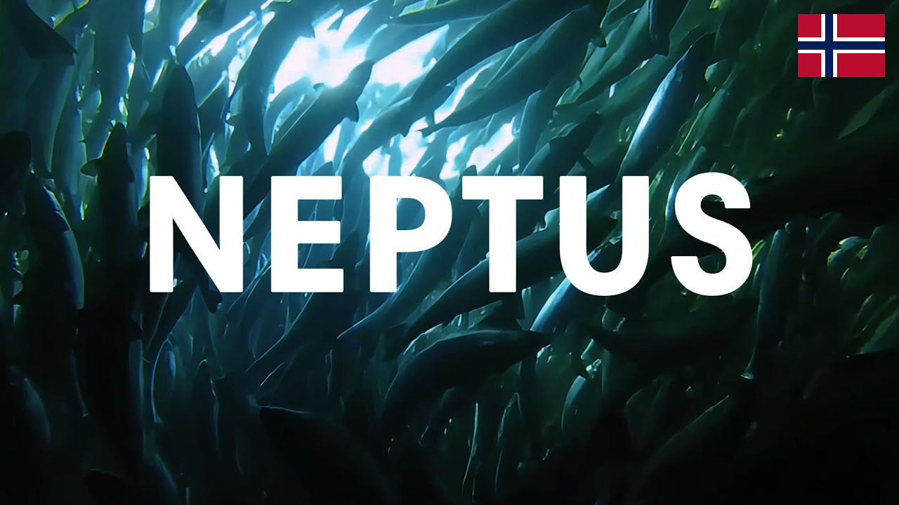 M&oslash;t HATO NEPTUS &ndash; en revolusjon innen lakseoppdrett