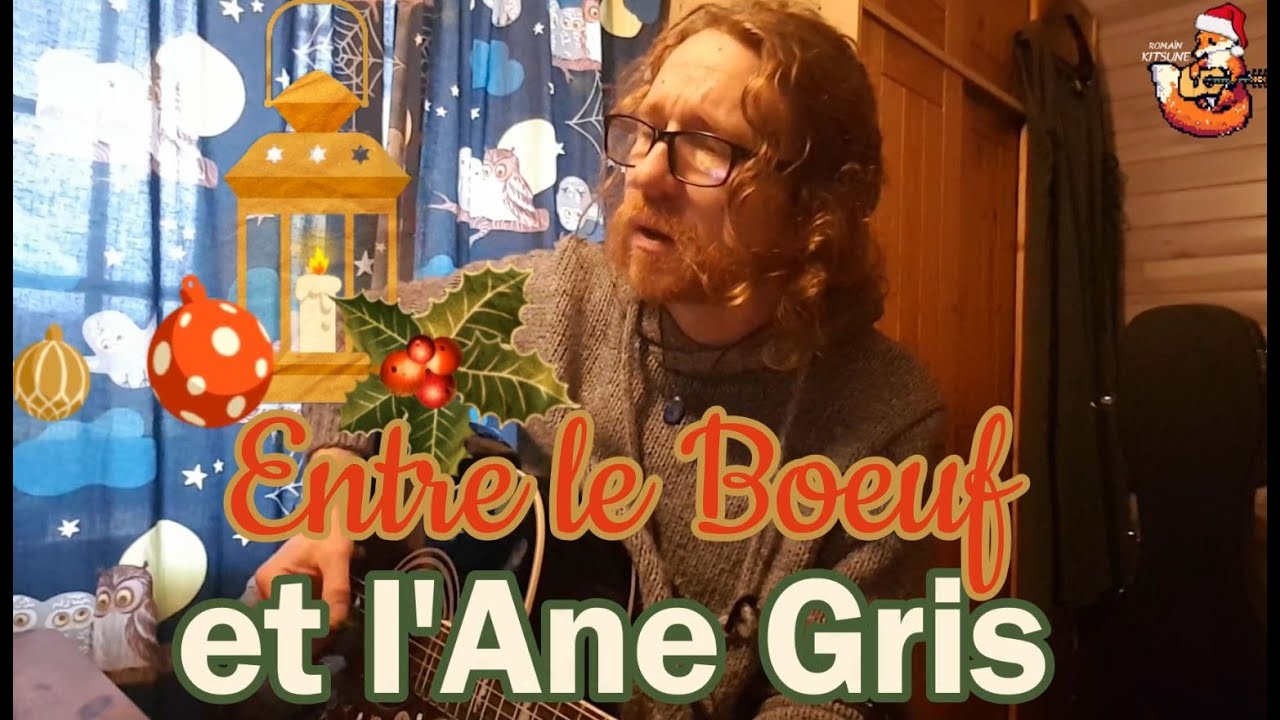 Entre le Boeuf et l'Ane Gris - Guitare acoustique