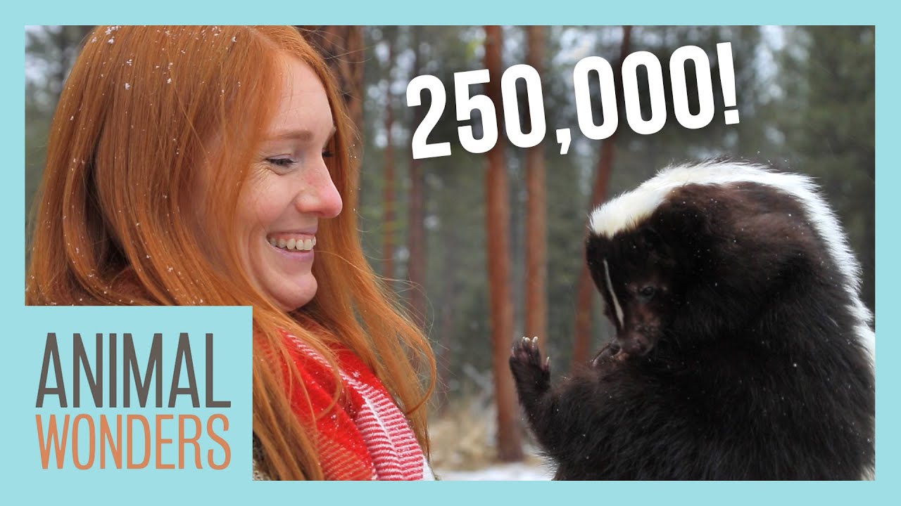 Celebrating 250K Subscribers!