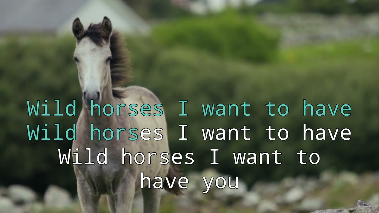 Prefab Sprout - Wild Horses [Karaoke]