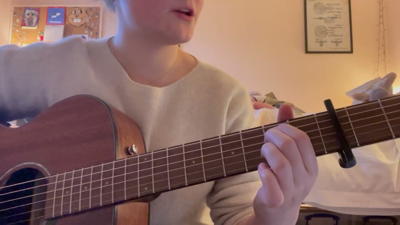 Where Have All The Flowers Gone - Peter, Paul, and Mary (cover)