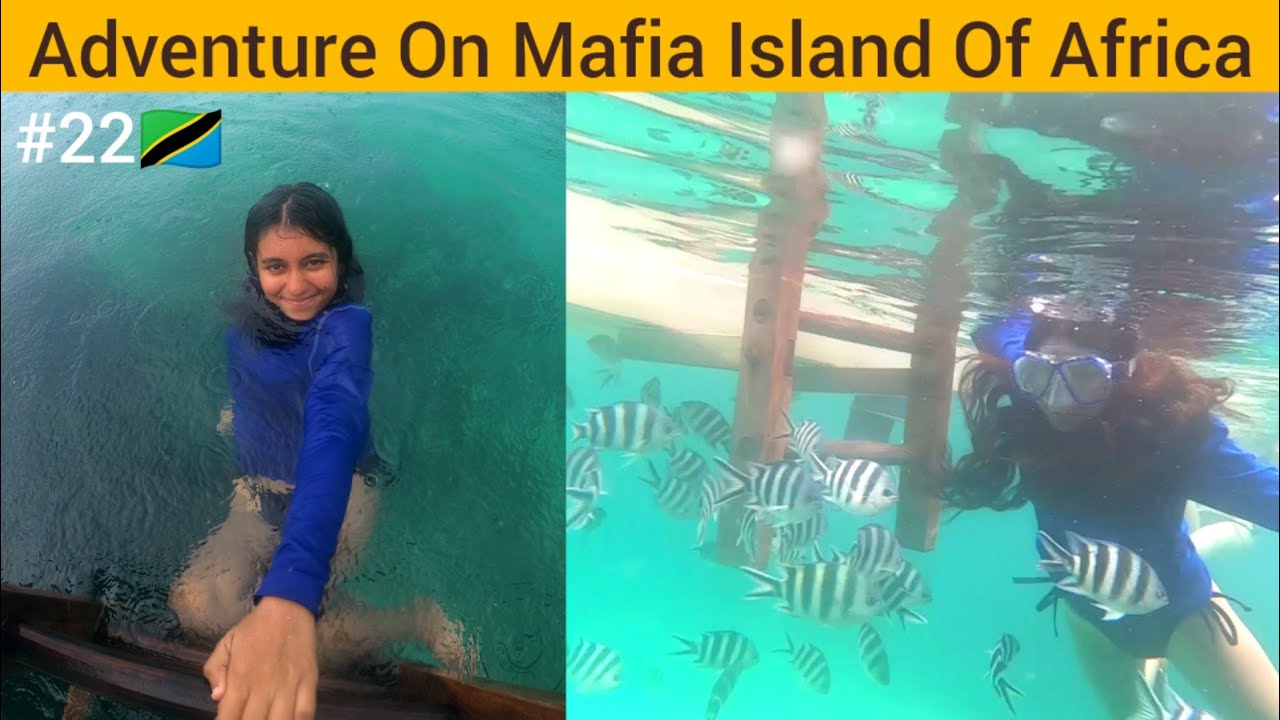 I Went On Ocean Tour Activites In Mafia | Tanzania 🇹🇿