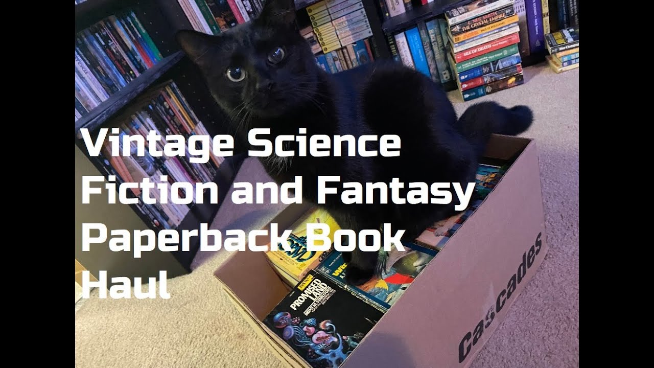 Massive Vintage Science Fiction and Fantasy Paperback Book Haul