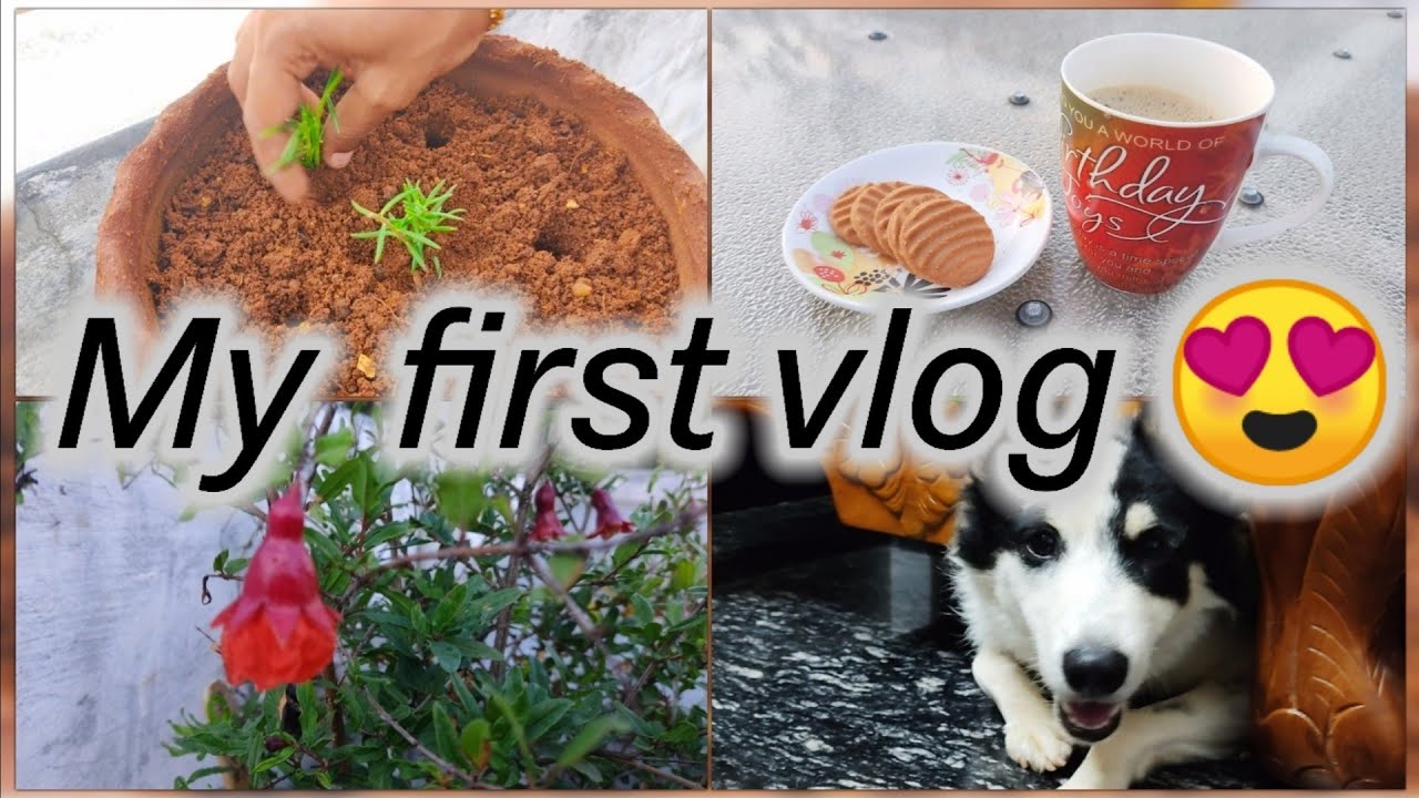 தமிழில்-my sunday evening vlog😇|first vlog🤩|mom's terracegarden🍃|introducingmydog🐶intamil #shiazlife