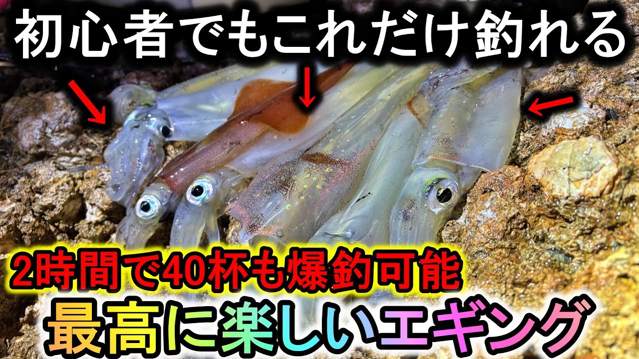 2時間で40杯の大爆釣…初心者でも簡単に釣れる「冬限定のエギング」を知ってほしい
