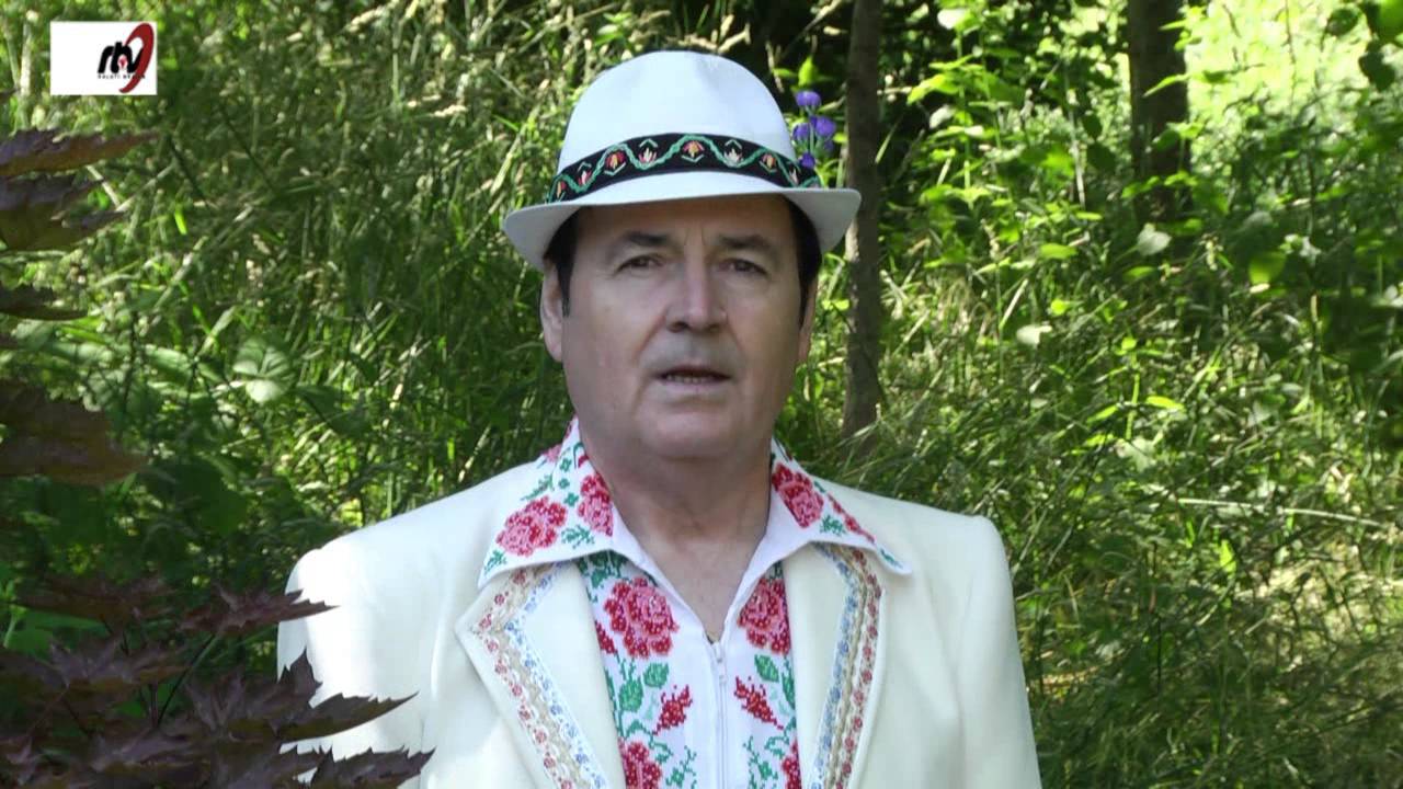 Nelu  Vlad -  Cand ai 20 de ani