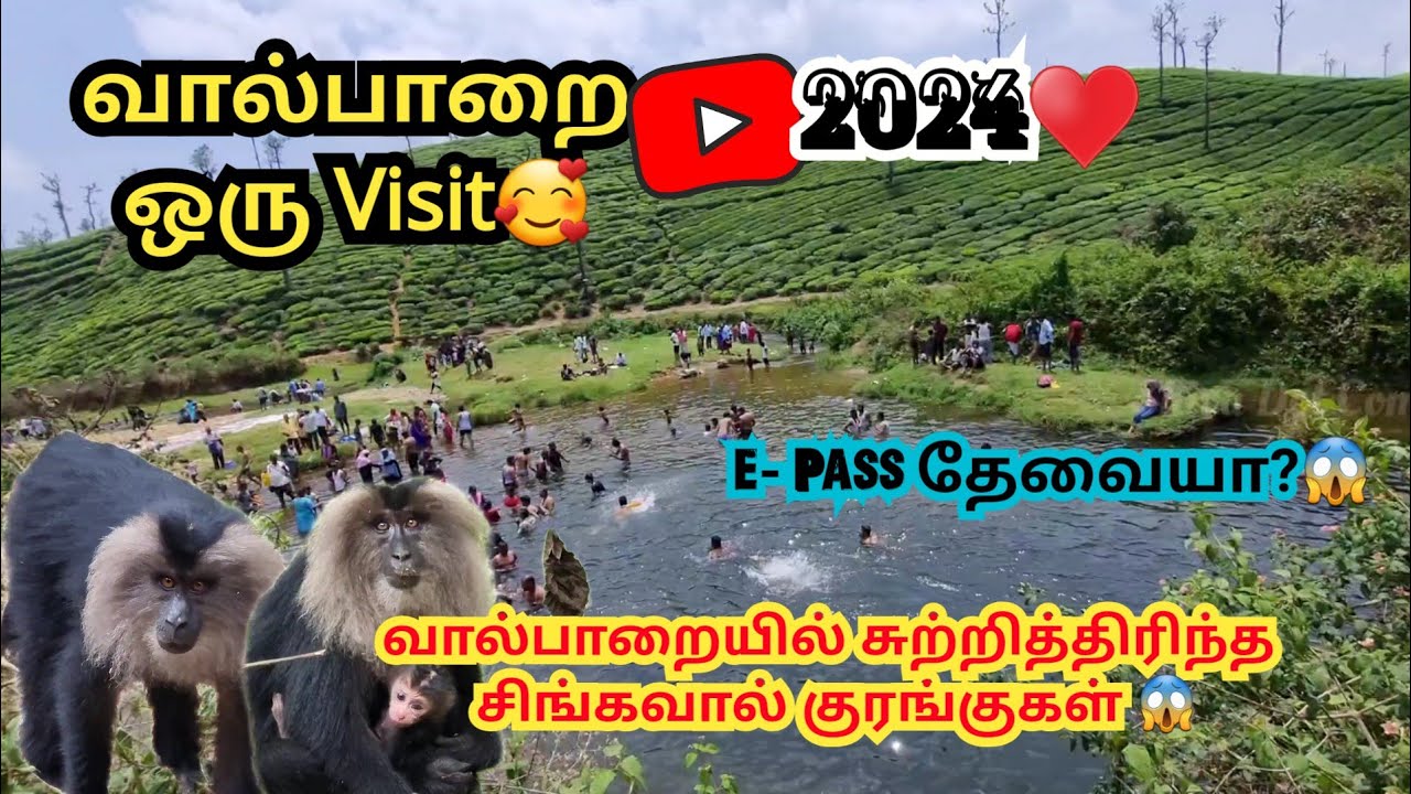 வால்பாறை இவ்வளவு பெரிய பொக்கிஷமா? Valparai Complete Guide | tourist places