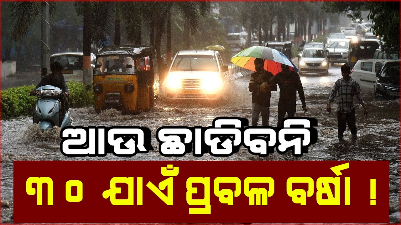 7 Days Heavy Rainfall Warning in Odisha! Orange & Yellow Alert Issued | Odisha Weather News