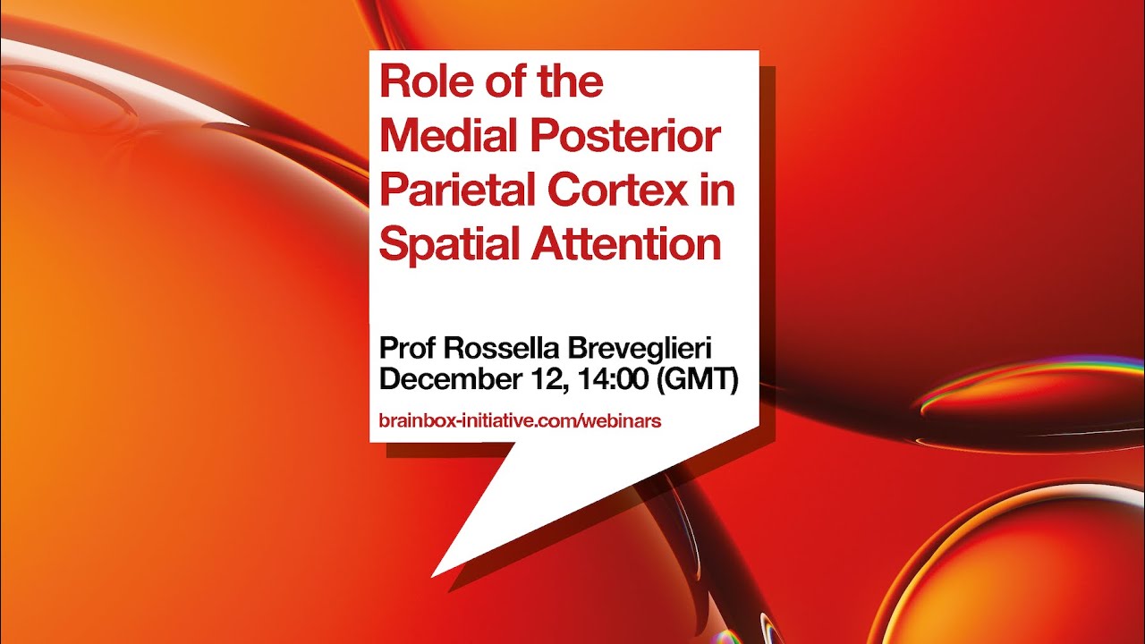 Role of the Medial Posterior Parietal Cortex in Spatial Attention