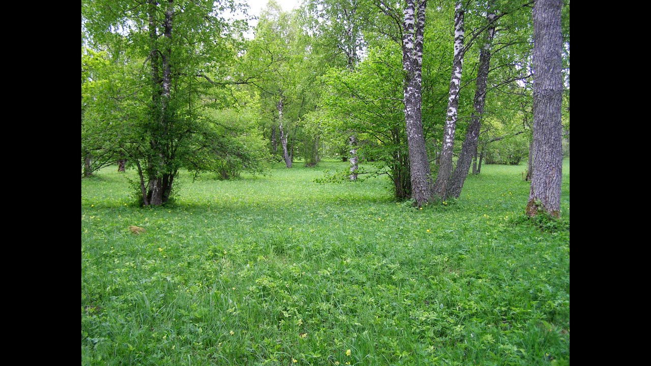 ŠERLOK HOLMS - ČOVEK SA ISKRIVLJENOM USNOM