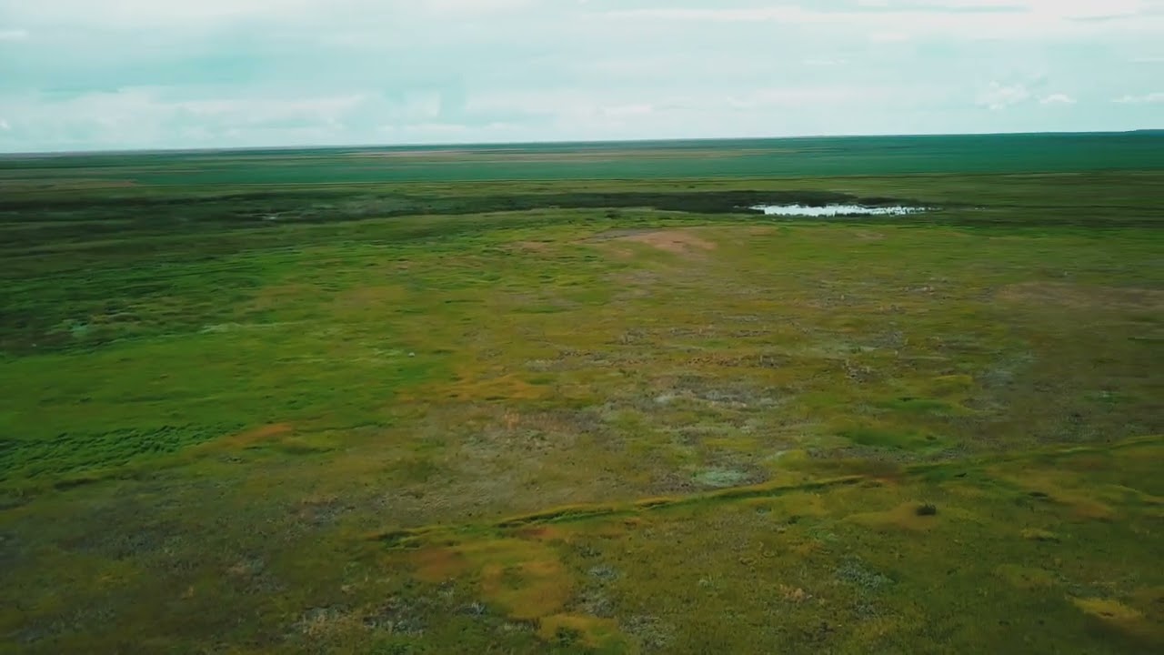 Ур.Благовещенский.