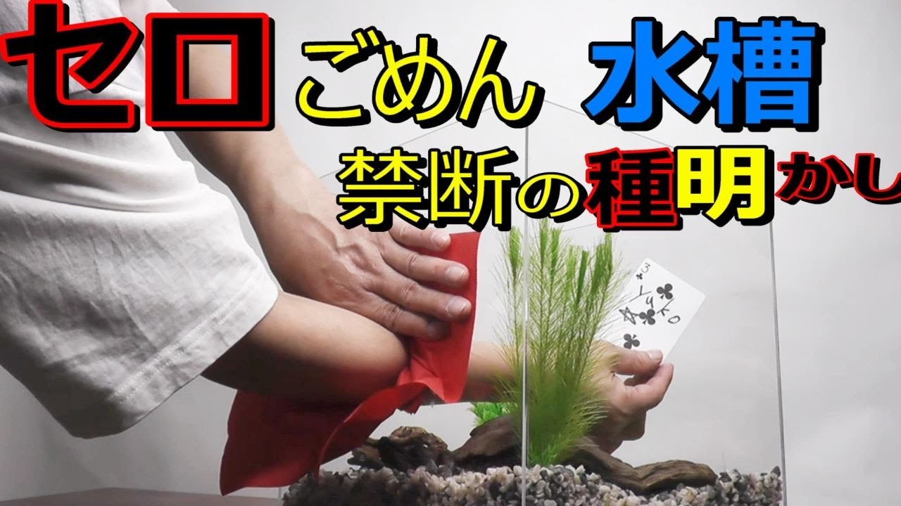 プロによる完全種明かし！セロ水槽のガラスに腕を入れる！